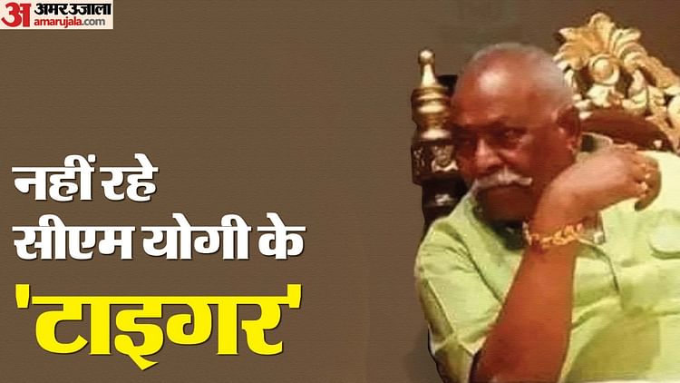 Up Lok Sabha Election 2024 Moradabad Lok Sabha Seat Bjp Candidate Died Sarvesh Singh Political Career - Amar Ujala Hindi News Live